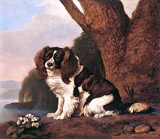 One of Mrs. Musters's Brown and White Spaniels, Sitting by a Clump of Primroses