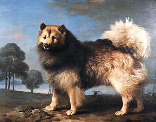 Turk, a Dog Belonging to the Duke of Rutland