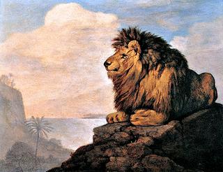 Lion Seated Overlooking a Rocky Coast