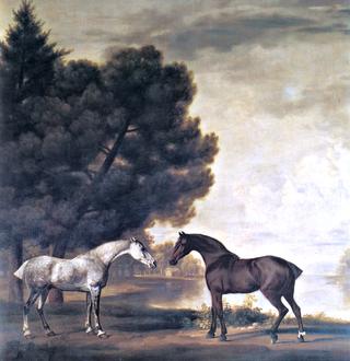 亨利·布里奇曼爵士的两匹马，互相交流