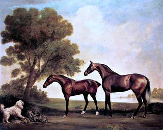 An Arabian Mare and a Younger Horse Confronting a Water Spaniel