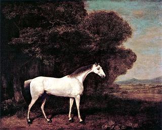 A Grey Horse Belonging to Joseph Bambridgge of Woodseat, Staffordshire