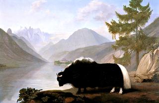 Warren Hastings's Yak