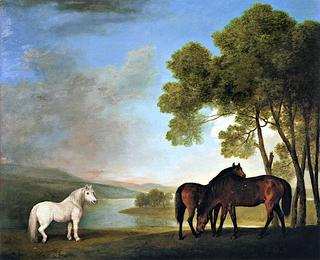 White Pony with Two Colts in a Paddock