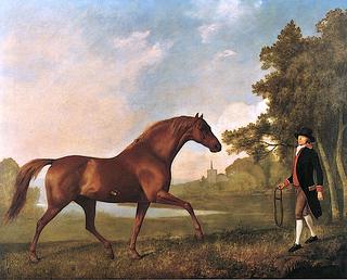 'Volunteer' Approached by a Groom with a Halter