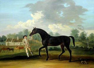 Goldfinder, a Bay Hunter with a Groom and Other Horses