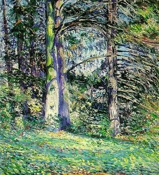 Sunlite Forest