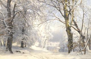 Forest in winter