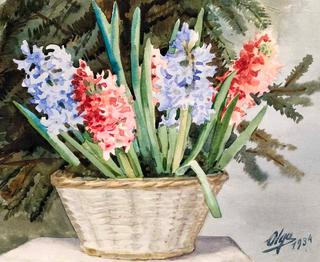 Christmas Hyacinths