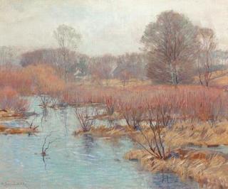 Spring in Wetlands