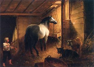 Stable Interior