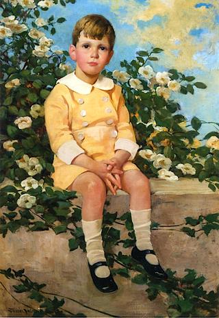 Young Boy Sitting on a Garden Wall