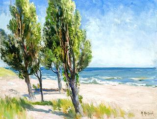 Landscape at the Beach