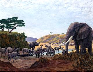 African Water at Dawn, Elephant, Oryx, Zebra and Rhino