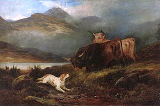 Highland Cattle and a Spaniel beside a Loch