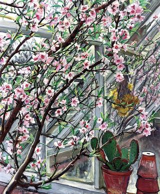 Peach Blossom