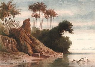 Brazilian River Landscape