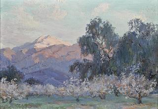 Evening Glow, Mt. San Jacinto, Almond Trees