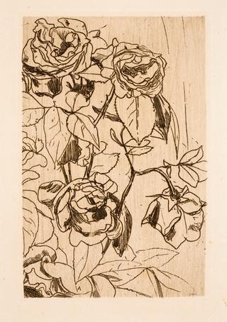 Study of roses