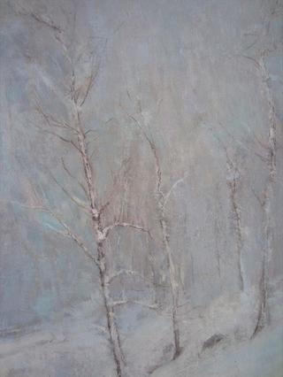 Birches in Snow