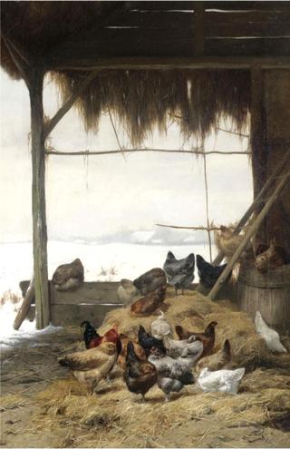 Chickens in a Barn in Winter
