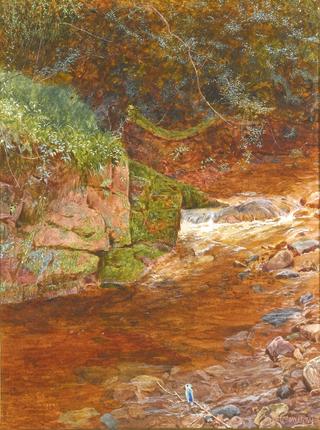 The kingfisher's haunt