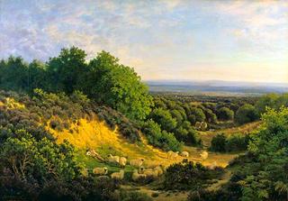 The Evening Sun: View on Ewhurst Hill, near Guildford