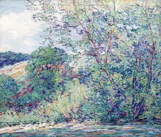 Summer Day