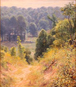 The Abandoned Road