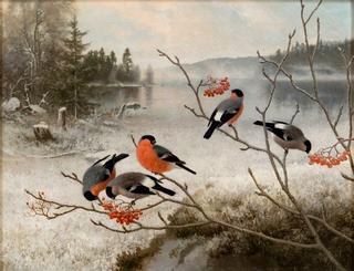 Bullfinches in Winter Landscape