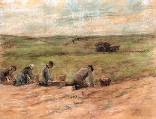 Potato Harvesters at Zandvoort