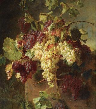 Still Life with Grapes