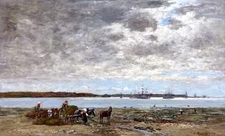 Brest, the Harbor, Kelp Harvest