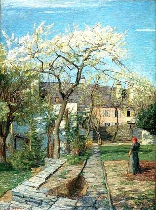 The Blossoming Cherry Tree