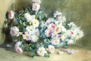 Roses from an old New Zealand garden