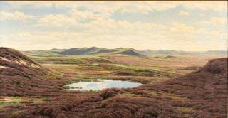 Heath Landscape