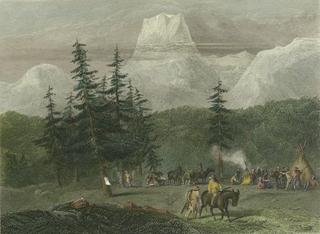 Forest Camp at Shastl Peak