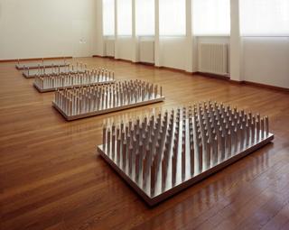 Bed of Spikes