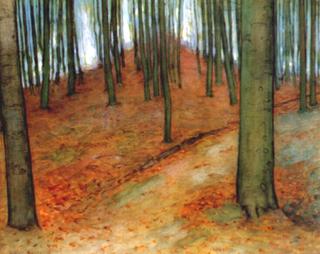 Wood with Beech Trees