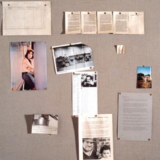 Pinboard Project (Donkey)