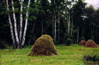 The Forest Glade