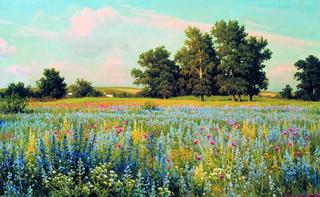 Summer Meadow