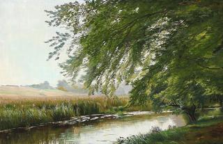 Forest scene with a stream