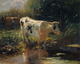 Cow beside a Ditch