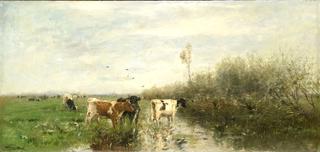 Cows in a Soggy Meadow