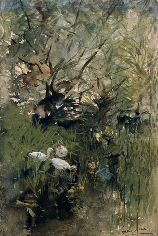 Ducks among Willows
