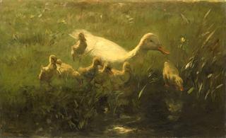 White Duck with Ducklings
