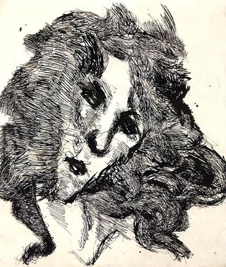 Woman's Head