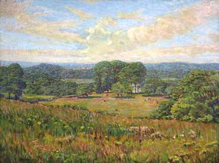 Summer Meadow