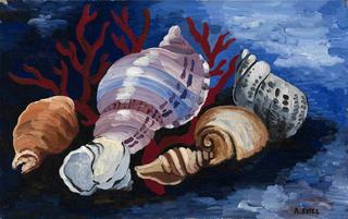 Still Life with Sea Shells